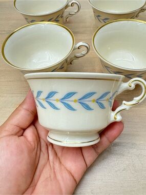 Vintage Syracuse China in the "Sherwood" pattern - set of 15